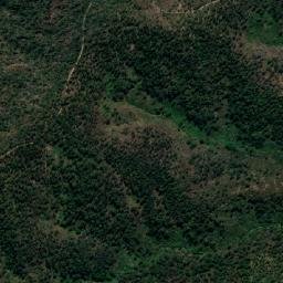 Nambucca Shire map(satellite map)