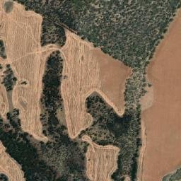 Victoria Plains map(satellite map)