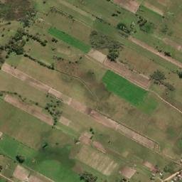 Tavares map(satellite map)