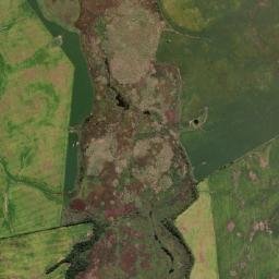 Turuçu map(satellite map)