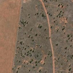 Bogan map(satellite map)