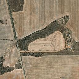 Tammin map(satellite map)