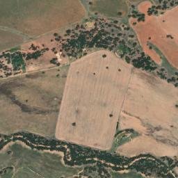 Gilgandra map(satellite map)
