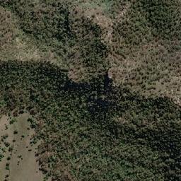 Muswellbrook map(satellite map)