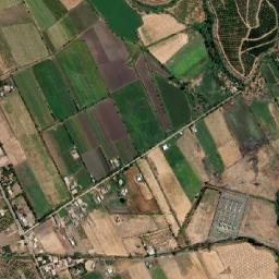 Nogales map(satellite map)