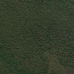 Port Stephens Shire map(satellite map)