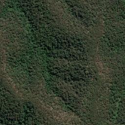 Cessnock map(satellite map)