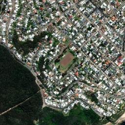 Merewether map(satellite map)