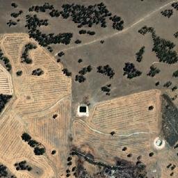 Williams map(satellite map)