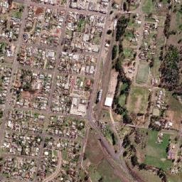 Molong map(satellite map)