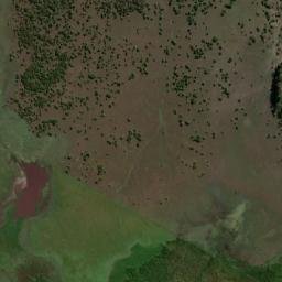 Departamento de Gualeguaychú map(satellite map)