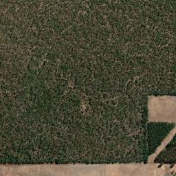 Collie map(satellite map)