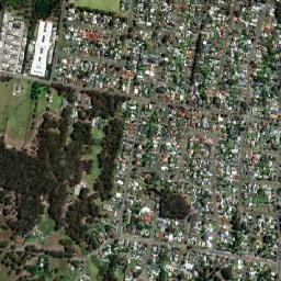Wyongah map(satellite map)