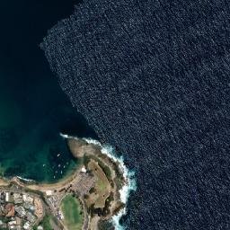 Terrigal map(satellite map)