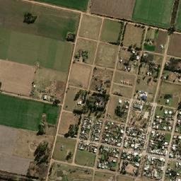 Cavanagh map(satellite map)