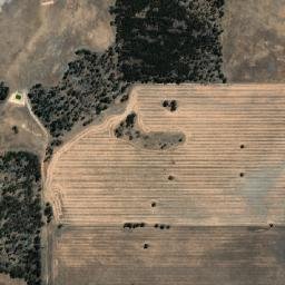 Woodanilling map(satellite map)