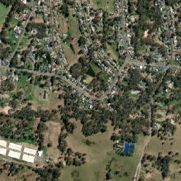 Glossodia map(satellite map)