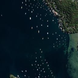 Whale Beach map(satellite map)