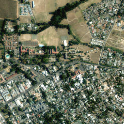 Wellington map(satellite map)