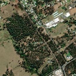 Vineyard map(satellite map)
