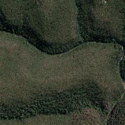 Blaxland map(satellite map)