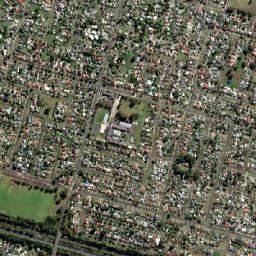 Colyton map(satellite map)