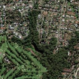 Telopea map(satellite map)