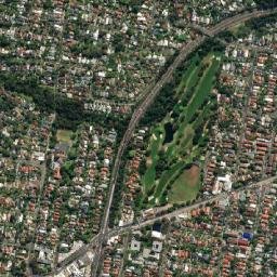 Balgowlah map(satellite map)