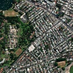 Rozelle map(satellite map)