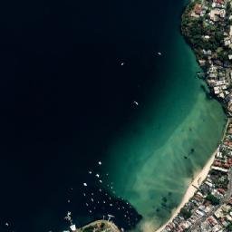 Rose Bay map(satellite map)