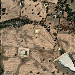 Kojonup map(satellite map)