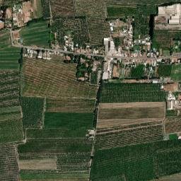 Olivar map(satellite map)