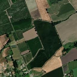 Coínco map(satellite map)