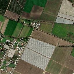 Pichidegua map(satellite map)