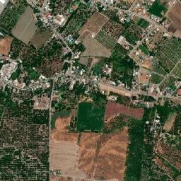 Peumo map(satellite map)