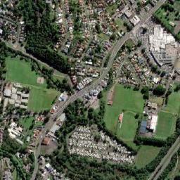 Figtree map(satellite map)