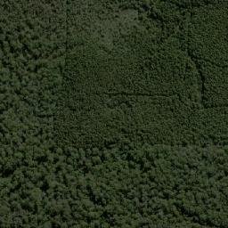 Manjimup map(satellite map)