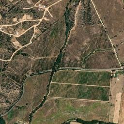 Pumanque map(satellite map)