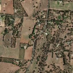 One Tree Hill map(satellite map)