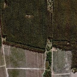 Albany map(satellite map)