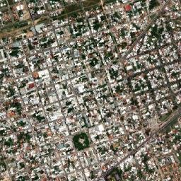 Pando map(satellite map)