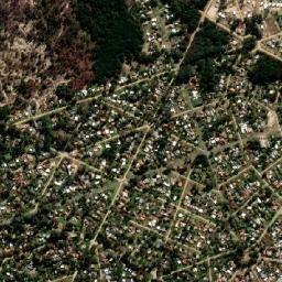La Floresta map(satellite map)