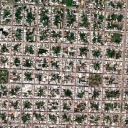 San Carlos map(satellite map)
