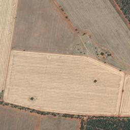 Satellite view of Coolamon Golf Course