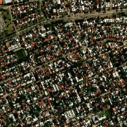 Carrasco map(satellite map)