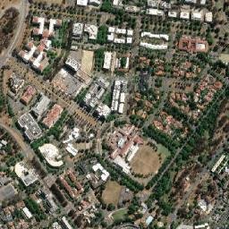 Forrest map(satellite map)