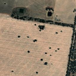 Lockhart map(satellite map)