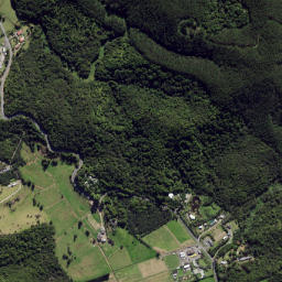 Ngunguru map(satellite map)