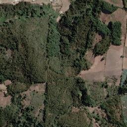 Cobquecura map(satellite map)