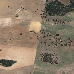 Tatiara map(satellite map)